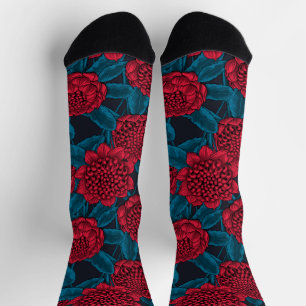 Rote Waratah-Blumen Socken