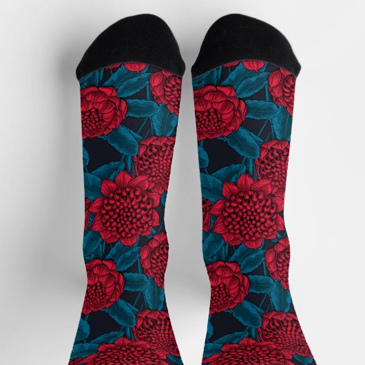 Rote Waratah-Blumen Socken (Oben)