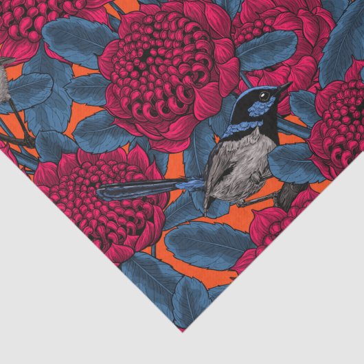 Rote Waratah und Feen Seidenpapier (Ausschnitt)