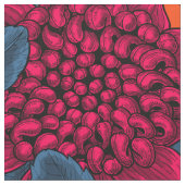 Rote Waratah und Feen Stoff (Nahaufnahme)