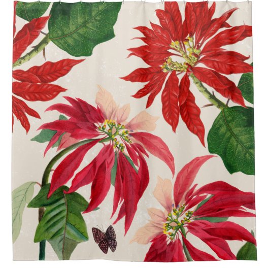 Rote Wasserfarbe Poinsettia Blumengrün Duschvorhang (Vorderseite)
