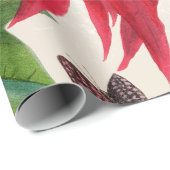 Rote Wasserfarbe Poinsettia Blumengrün Geschenkpapier (Rolleneckpunkt)