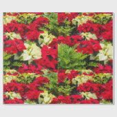 Rote WeihnachtsBlume Poinsettia Geschenkpapier (Flach)