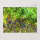 Rote Weintrauben Postkarte (Vorderseite)