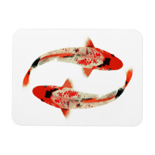 Rote, Weiße und Schwarze Koi-Fische Magnet