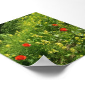 Rote Wildblumen im Sommerwiesen-Poster Poster (Ecke)