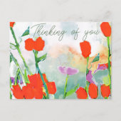 Rote Wildblumen mit Sky Postcard Postkarte (Vorderseite)