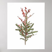 Rote Winter Berries und Pinien Poster (Vorne)