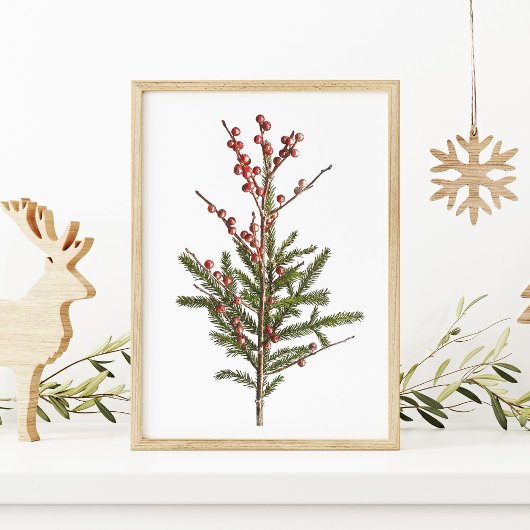 Rote Winter Berries und Pinien Poster