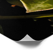 Rote Winterbeeren in Jersey Poster (Ecke)