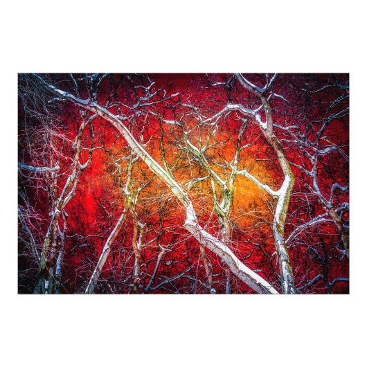 Rote Winternacht Fotodruck (Vorne)