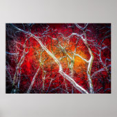 Rote Winternacht Poster (Vorne)