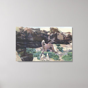 Rote Wüste, WY - Wilder Palomino-Stallion gefangen Leinwanddruck