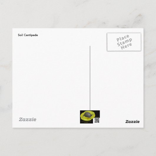 Rote Zentipede Geophilomorpha (Strigamia) Postkarte (Rückseite)