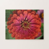 Rote Zinnia - florales Puzzle mit Geschenkbox (Horizontal)