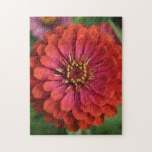 Rote Zinnia - florales Puzzle mit Geschenkbox