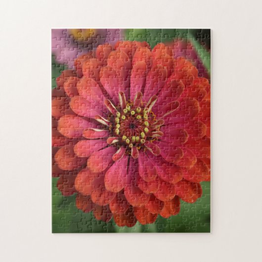 Rote Zinnia - florales Puzzle mit Geschenkbox (Vertikal)