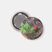 Rote Zinnia mit rostigen Objekten Magnet (Vorderseite/Rückseite)
