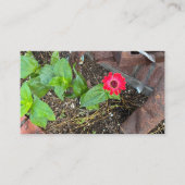 Rote Zinnia mit rostigen Objekten Visitenkarte (Vorderseite)