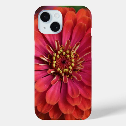 Rote Zinnie - florale iPhone 15 Hülle (Rückseite)