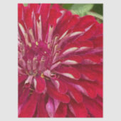 Rote Zinnien Blumen Seidenpapier (Vorderseite)