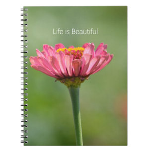 Rote Zinnienblume (meine Fotografie) Notizblock