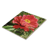 Rote Zinnienfliese Fliese (Seite)