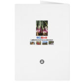 Rote Zonen in Bauern Pflanzenmarkt (Hinten)