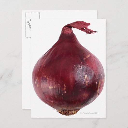 Rote Zwiebel auf weißem Hintergrund abgeschieden,  Postkarte (Vorne/Hinten)