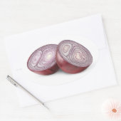 Rote Zwiebel geschnitten in Hälften Ovaler Aufkleber (Umschlag)