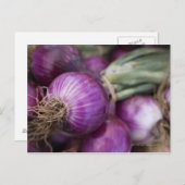 Rote Zwiebeln in einem New Jersey-Bauer Postkarte (Vorne/Hinten)