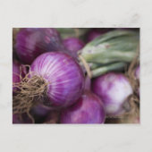 Rote Zwiebeln in einem New Jersey-Bauer Postkarte (Vorderseite)