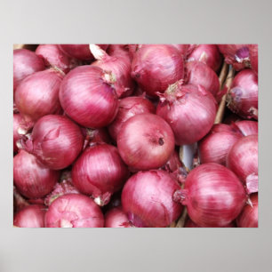 Rote Zwiebeln Poster