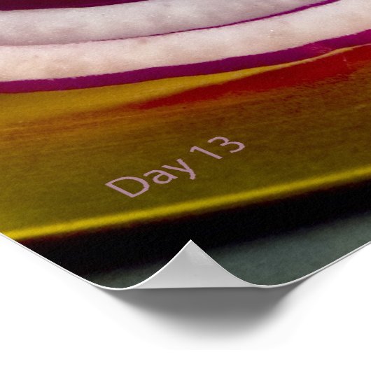 Rote Zwiebelscheiben Poster (Ecke)