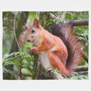 ROTEHÖRNCHEN 2 FLEECEDECKE