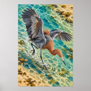 Rötelreiher – Südtexas-Küsten-Vogelkunst Poster