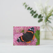 Roter Admiral auf See (Herbstfreude) Visitenkarte (Stehend Vorderseite)