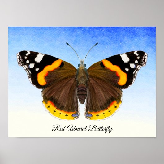 Roter Admiral Butterfly Aquarellmaler Poster (Vorne)