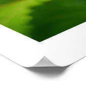 Roter Admiral Butterfly auf einer Sonnenblume Poster (Ecke)