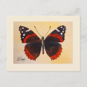 Roter Admiral Butterfly Postkarte