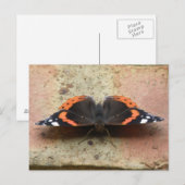 Roter Admiral Butterfly Postkarte (Vorne/Hinten)