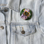 Roter Admiral Butterfly und Buddleia Button (Beispiel)