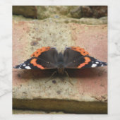 Roter Admiral Butterfly Wein Flaschenetiketten Weinetikett (Einzelnes Label)