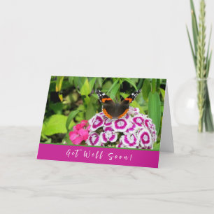 Roter Admiral Butterfly wird bald zum Grußkarten Karte