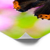 Roter Admiral Schmetterling auf Blume Poster (Ecke)