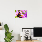 Roter Admiral Schmetterling auf Blume Poster (Heimbüro)