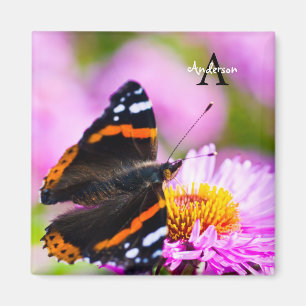 Roter Admiral Schmetterling auf einer Blume Magnet