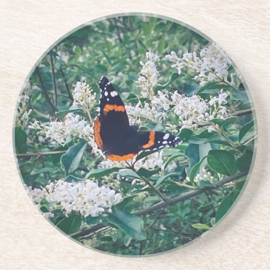 Roter Admiral Schmetterling Getränkeuntersetzer (Vorne)