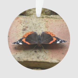 Roter-Admiral-Schmetterling-Ornament Ornament