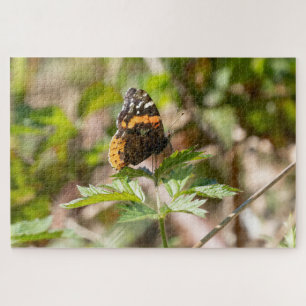 Roter Admiral Schmetterling Pazifischer Nordwesten Puzzle